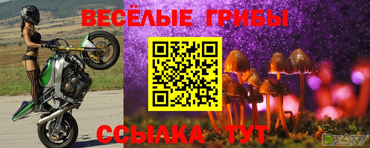 Псилоцибиновые грибы мухоморы  Вход с VPN  дарнет шоп  Ишим 